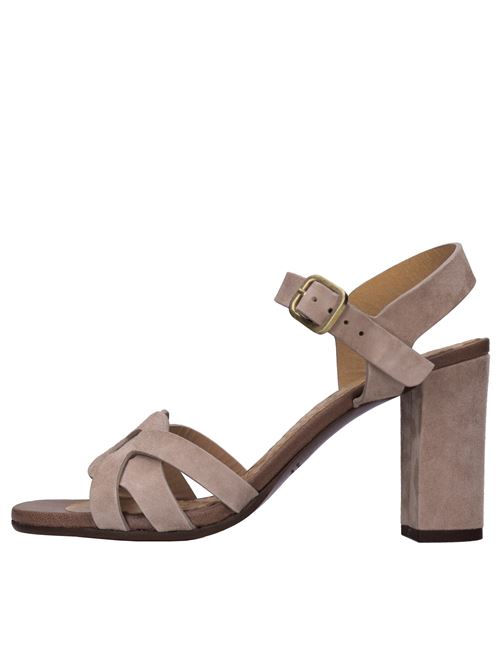 Sandali in camoscio CHIE MIHARA | BA-GUARA40 ANTEMOMO-TERRA